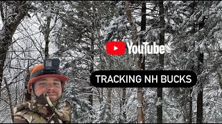 Tracking a big buck in fresh snow  Pittsburgh New Hampshire [upl. by Sixela]