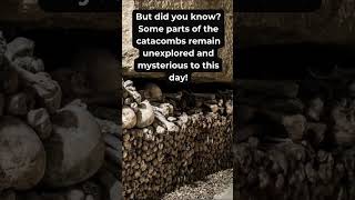 Unearth the Secrets of the Paris Catacombs A Journey Through History and Mystery [upl. by Hcelemile]