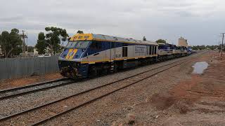 EL57 CM3308 amp CM3309 shunt Condobolin NSW Thu 23rd Nov 2023 [upl. by Alissa87]