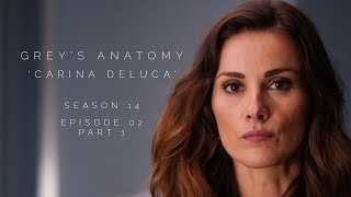 Stefania in Greys Anatomy S14E02 pt1 as Carina DeLuca [upl. by Whitver582]