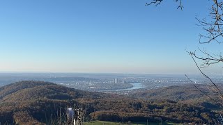 Warum ist es am Rhein so schön [upl. by Delwyn533]