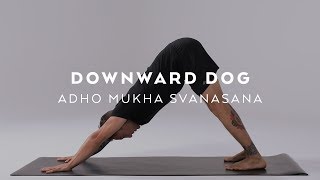 How to do Downward Dog  Adho Mukha Svanasana Tutorial with Dylan Werner [upl. by Evangelia]