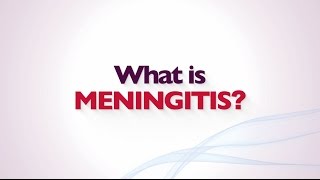 What is Meningitis Short [upl. by Catherine911]