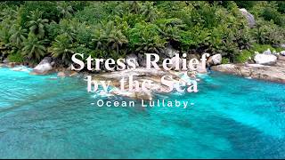 Relaxing Piano Music 07  Stress Relief by the Sea  Relaxing With Ocean Lullaby [upl. by Danette]