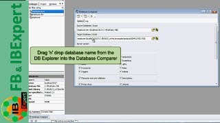 Tutorial 6 IBExpert Database Comparer [upl. by Hgielyk]