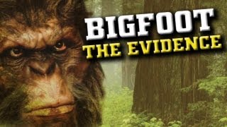 Bigfoot Sasquatch Sightings and Eyewitness Testimony [upl. by Sherman68]