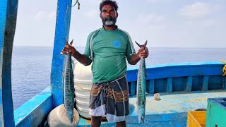 ஆழ்கடல் விசைபடகில் சுவையான அரக்கோலா மீன் குழம்புPrepared by Boat Chef Thasan [upl. by Deirdra]