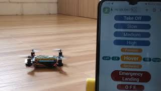 Raspberry Pi Pico W Drone [upl. by Helbon]