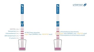 Dipstick Multiplexing  4Sensor [upl. by Akiwak]