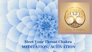 Meet your Throat Chakra  Activation [upl. by Halika]