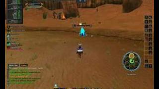 How to Solo A Heroic EverQuest II2 [upl. by Tikna]