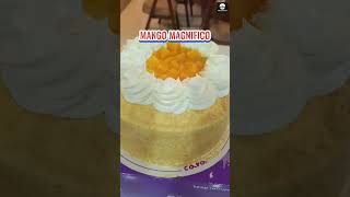 CARAMIAS MANGO MAGNIFICO YUMMY DESSERT AT ITS BEST fyp foryou cake shorts shortvideo yummy [upl. by Peggir19]