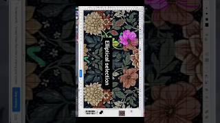 jacquard design software shots texcelle cad [upl. by Clover133]