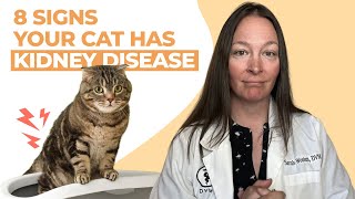 8 Signs Your Cat Has Kidney Disease [upl. by Tadashi458]