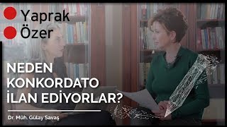 Neden Konkordato İlan Ediyorlar  Gülay Savaş  İçerik Fabrikası [upl. by Kreit]