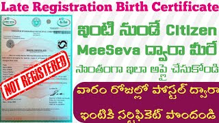 Late Registration Birth Certificate Apply in TeluguHow to apply Late birth certificate In Telangana [upl. by Niwre]