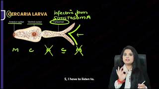 Microbiology  Trematode [upl. by Mahalia]