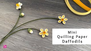 How to Make Mini Quilling Paper Daffodils  Spring Paper Flowers  Quilling for Beginners [upl. by Hiltan]