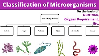 Classification of microorganisms  Microbiology  Types  Bsc  GNM  1st Year  Nursing  Hindi [upl. by Osei]