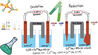 The Science Behind Concentration Cells  Understanding Electrochemical Gradients [upl. by Filip993]