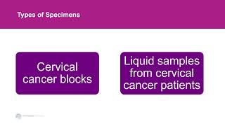 Introduction to HPVNegative Cervical Cancers and Precancers [upl. by Nolyarg]