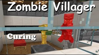 Zombie Villager Curing [upl. by Tandy]