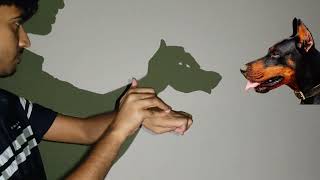 Animal Shadow  Handicraft [upl. by Ruth]