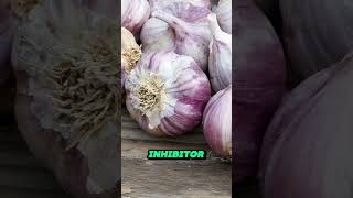 How Garlic Can Lower Blood Pressure [upl. by Gabriele752]