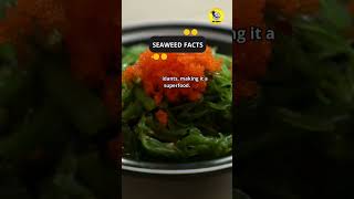 Seaweed Facts shorts seaweedfacts aboutseaweed [upl. by Weiler]