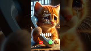 When cat call😺 on 3amviralvideo short cat [upl. by Aizahs433]