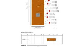 Disposizioni Tecniche 2020  BOCCE SPECIALITA RAFFA  Da wwwfederbocceit  Prof Fabio S Bava [upl. by Nelrah]