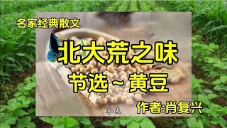 名家经典散文《北大荒之味》节选～黄豆，作者肖复兴 [upl. by Allegna]