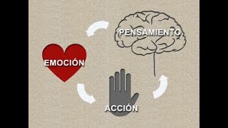 Terapia CognitivaConductual En El Proceso De Rehabilitacion Parte  4 [upl. by Annaiuq]