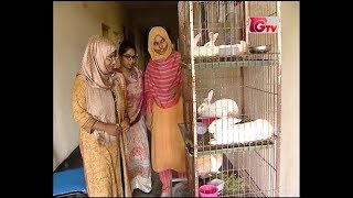 Model Livestock Institute amp Veterinary Hospital Dhaka GTV Program [upl. by Magnien]