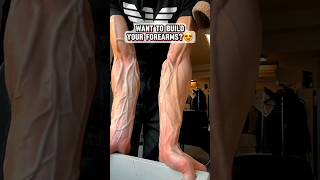 How to get bigger arms at home  arms workout forearm workout at home  hand gripper hand exercise [upl. by Idou]