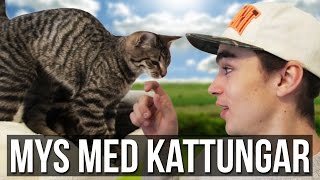 Vi besöker ett katthem Vlog 44 [upl. by Eeram]