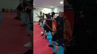 On Guard byzantineswordsmanship martialarts hema swordsmanship fencing [upl. by Ardnait]