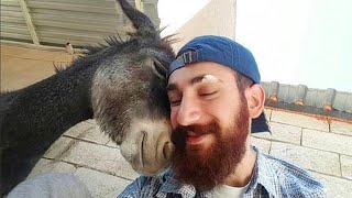 Love of Animals Moments That Will Cure Your Depression [upl. by Alimhaj]