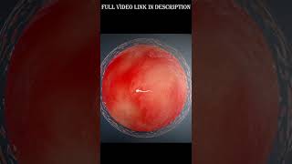 Test tube baby 🧪🧪  IVF  3D Animation biology science ivf [upl. by Goeger164]