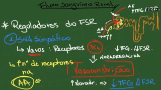 Regulação do Fluxo Sanguíneo Renal  Resumo  Fisiologia [upl. by Nnair26]