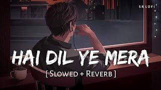 Hai Dil Ye Mera Slowed  Reverb  Arijit Singh  Hate Story 2  SR Lofi [upl. by Anitsua870]