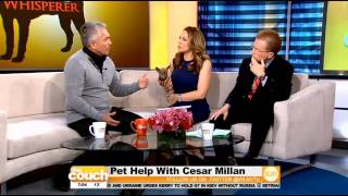 The Dog Whisperer Cesar Milan Stops By The Couch [upl. by Annasus711]