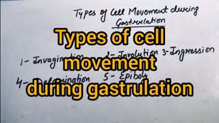 Types Of Cell Movement During Gastrulation  BSc  MSc  CSIRNET LIFESCIENCE  Biology By Neha [upl. by Behnken614]