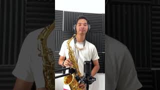 My 3 Days Saxophone Progress as a Beginner  The First Noel Saxophone Cover [upl. by Eintrok]