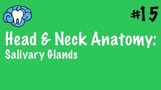 Head amp Neck Anatomy  Salivary Glands  INBDE [upl. by Dorran]