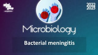 L 1 bacterial meningitis Microbiology [upl. by Jadd556]