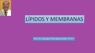 LIPIDOS Y MEMBRANAS [upl. by Acinnej]