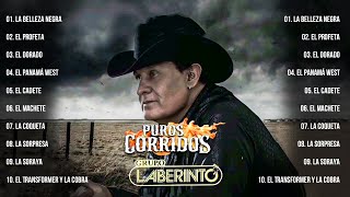 1 Hora De Puros Corridos De Caballos De Grupo Laberinto  Corridos Exitos Mix Lo Mejor de Lo Mejor [upl. by Rapsag]