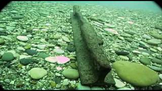 St Clair River Dive [upl. by Ruphina]