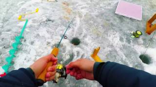 Ice fishing for Lake Whitefish on Banks Lake [upl. by Oibirot695]